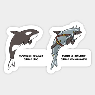Evolution of the Killer Whale | Games & Upgrades Sticker